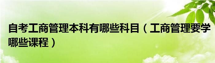 自考工商管理本科有哪些科目（工商管理要学哪些课程）