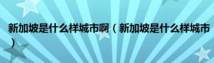 新加坡是什么样城市啊（新加坡是什么样城市）