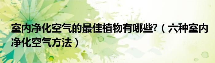 室内净化空气的最佳植物有哪些?（六种室内净化空气方法）