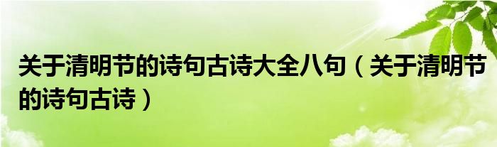 关于清明节的诗句古诗大全八句（关于清明节的诗句古诗）