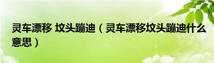 灵车漂移 坟头蹦迪（灵车漂移坟头蹦迪什么意思）