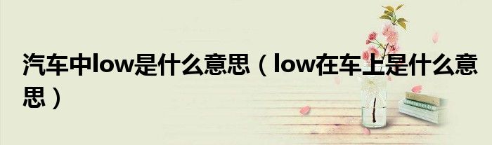 汽车中low是什么意思（low在车上是什么意思）