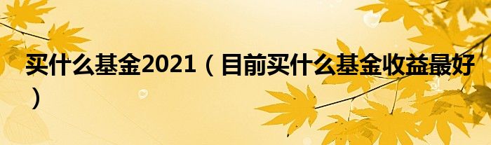 买什么基金2021（目前买什么基金收益最好）