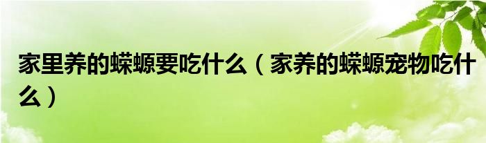 家里养的蝾螈要吃什么（家养的蝾螈宠物吃什么）