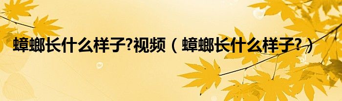 蟑螂长什么样子?视频（蟑螂长什么样子?）