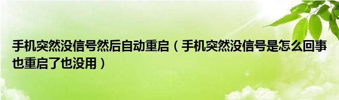 手机突然没信号然后自动重启（手机突然没信号是怎么回事也重启了也没用）