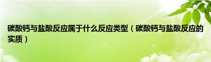 碳酸钙与盐酸反应属于什么反应类型（碳酸钙与盐酸反应的实质）