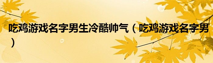 吃鸡游戏名字男生冷酷帅气（吃鸡游戏名字男）