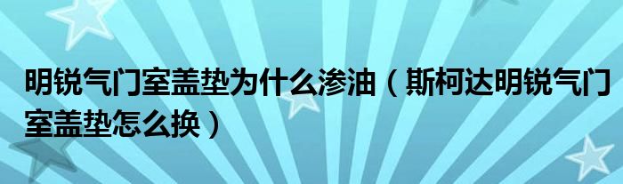 明锐气门室盖垫为什么渗油（斯柯达明锐气门室盖垫怎么换）