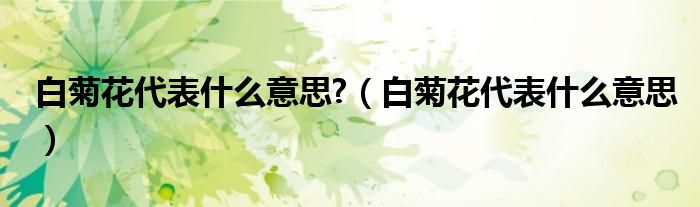 白菊花代表什么意思?（白菊花代表什么意思）