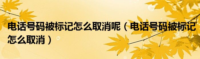 电话号码被标记怎么取消呢（电话号码被标记怎么取消）