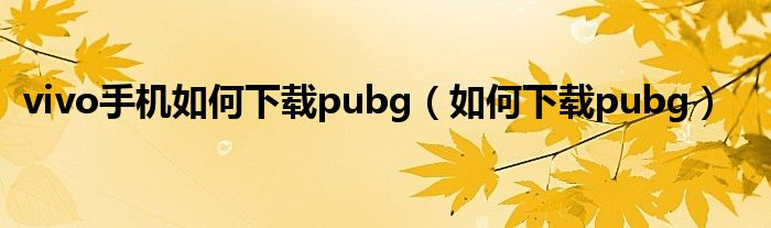 vivo手机如何下载pubg（如何下载pubg）