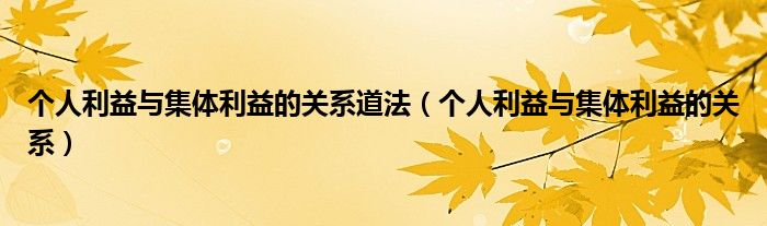 个人利益与集体利益的关系道法（个人利益与集体利益的关系）