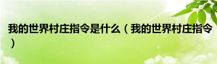 我的世界村庄指令是什么（我的世界村庄指令）