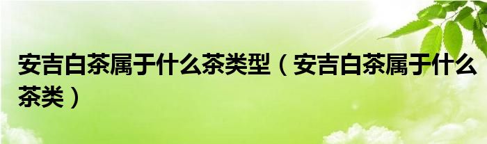 安吉白茶属于什么茶类型（安吉白茶属于什么茶类）