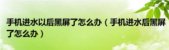 手机进水以后黑屏了怎么办（手机进水后黑屏了怎么办）