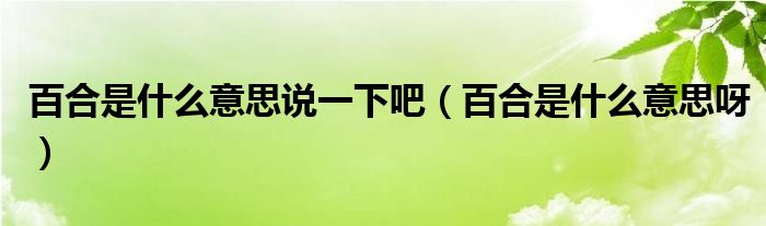 百合是什么意思说一下吧（百合是什么意思呀）