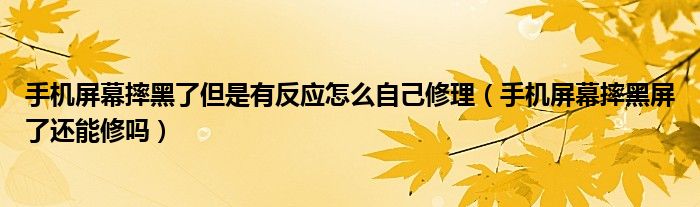 手机屏幕摔黑了但是有反应怎么自己修理（手机屏幕摔黑屏了还能修吗）