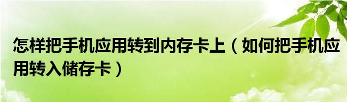 怎样把手机应用转到内存卡上（如何把手机应用转入储存卡）