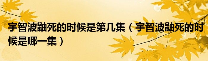 宇智波鼬死的时候是第几集（宇智波鼬死的时候是哪一集）