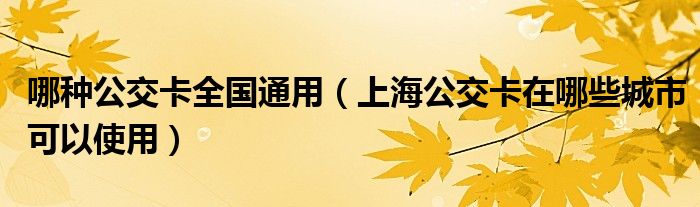 哪种公交卡全国通用（上海公交卡在哪些城市可以使用）