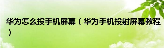 华为怎么投手机屏幕（华为手机投射屏幕教程）