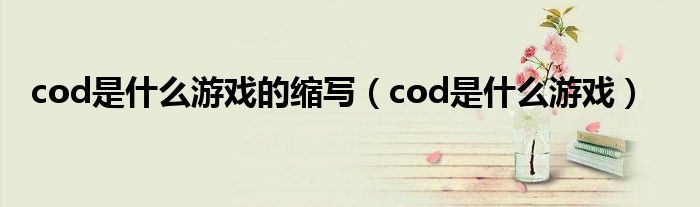 cod是什么游戏的缩写（cod是什么游戏）