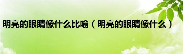 明亮的眼睛像什么比喻（明亮的眼睛像什么）