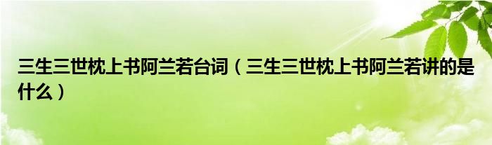 三生三世枕上书阿兰若台词（三生三世枕上书阿兰若讲的是什么）