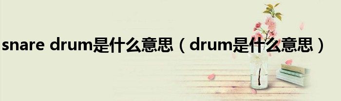 snare drum是什么意思（drum是什么意思）