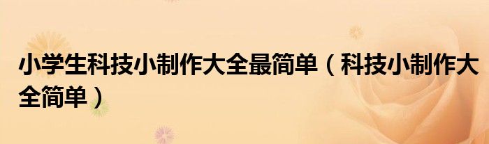 小学生科技小制作大全最简单（科技小制作大全简单）