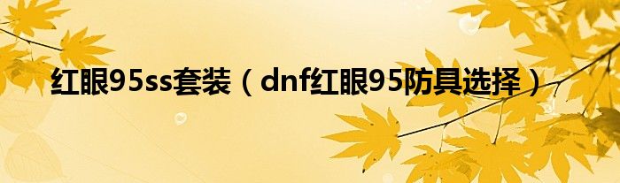 红眼95ss套装（dnf红眼95防具选择）