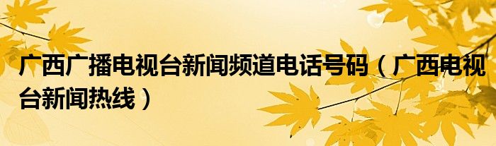 广西广播电视台新闻频道电话号码（广西电视台新闻热线）