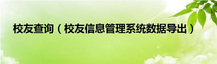 校友查询（校友信息管理系统数据导出）