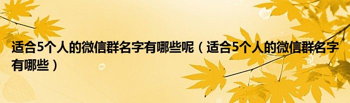 适合5个人的微信群名字有哪些呢（适合5个人的微信群名字有哪些）