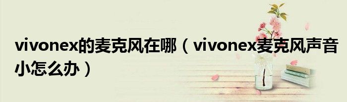 vivonex的麦克风在哪（vivonex麦克风声音小怎么办）