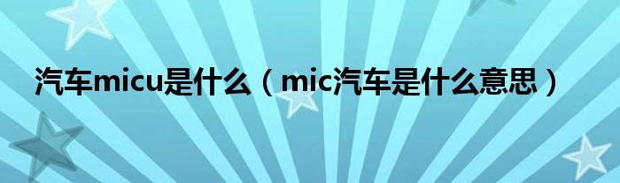 汽车micu是什么（mic汽车是什么意思）