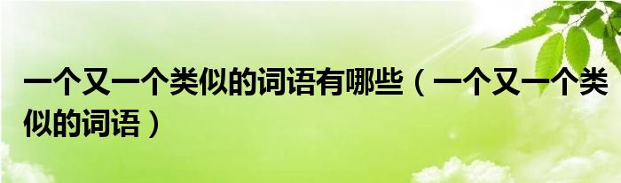 一个又一个类似的词语有哪些（一个又一个类似的词语）