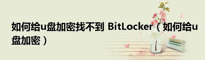 如何给u盘加密找不到 BitLocker（如何给u盘加密）