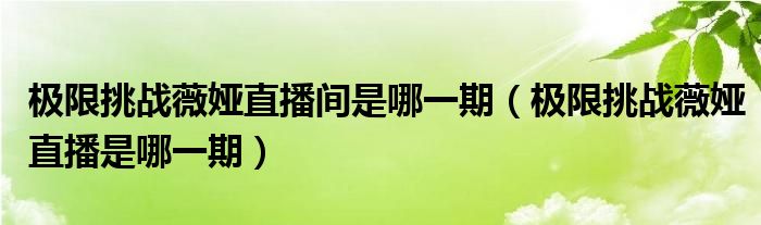 极限挑战薇娅直播间是哪一期（极限挑战薇娅直播是哪一期）