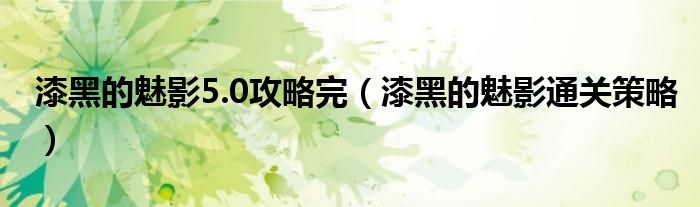 漆黑的魅影5.0攻略完（漆黑的魅影通关策略）