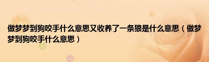 做梦梦到狗咬手什么意思又收养了一条狼是什么意思（做梦梦到狗咬手什么意思）