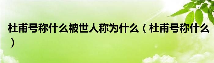 杜甫号称什么被世人称为什么（杜甫号称什么）