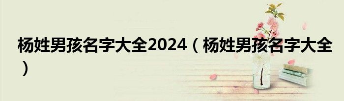 杨姓男孩名字大全2024（杨姓男孩名字大全）