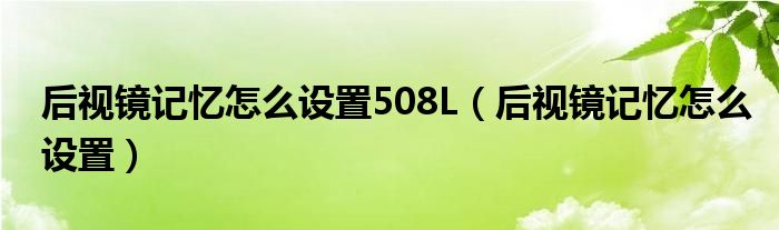 后视镜记忆怎么设置508L（后视镜记忆怎么设置）