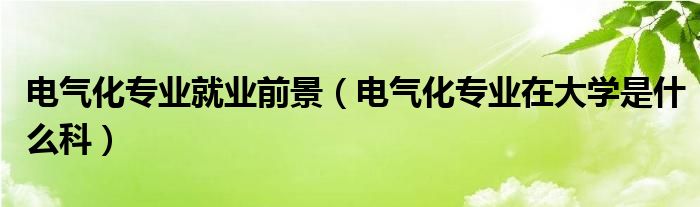 电气化专业就业前景（电气化专业在大学是什么科）