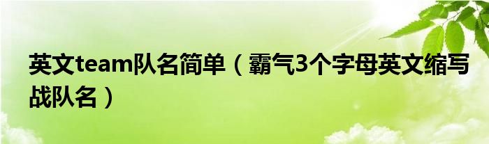 英文team队名简单（霸气3个字母英文缩写战队名）