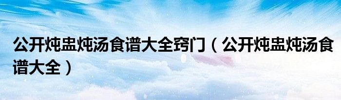 公开炖盅炖汤食谱大全窍门（公开炖盅炖汤食谱大全）