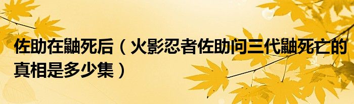 佐助在鼬死后（火影忍者佐助问三代鼬死亡的真相是多少集）