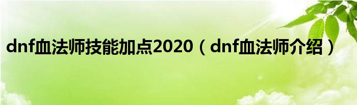 dnf血法师技能加点2020（dnf血法师介绍）